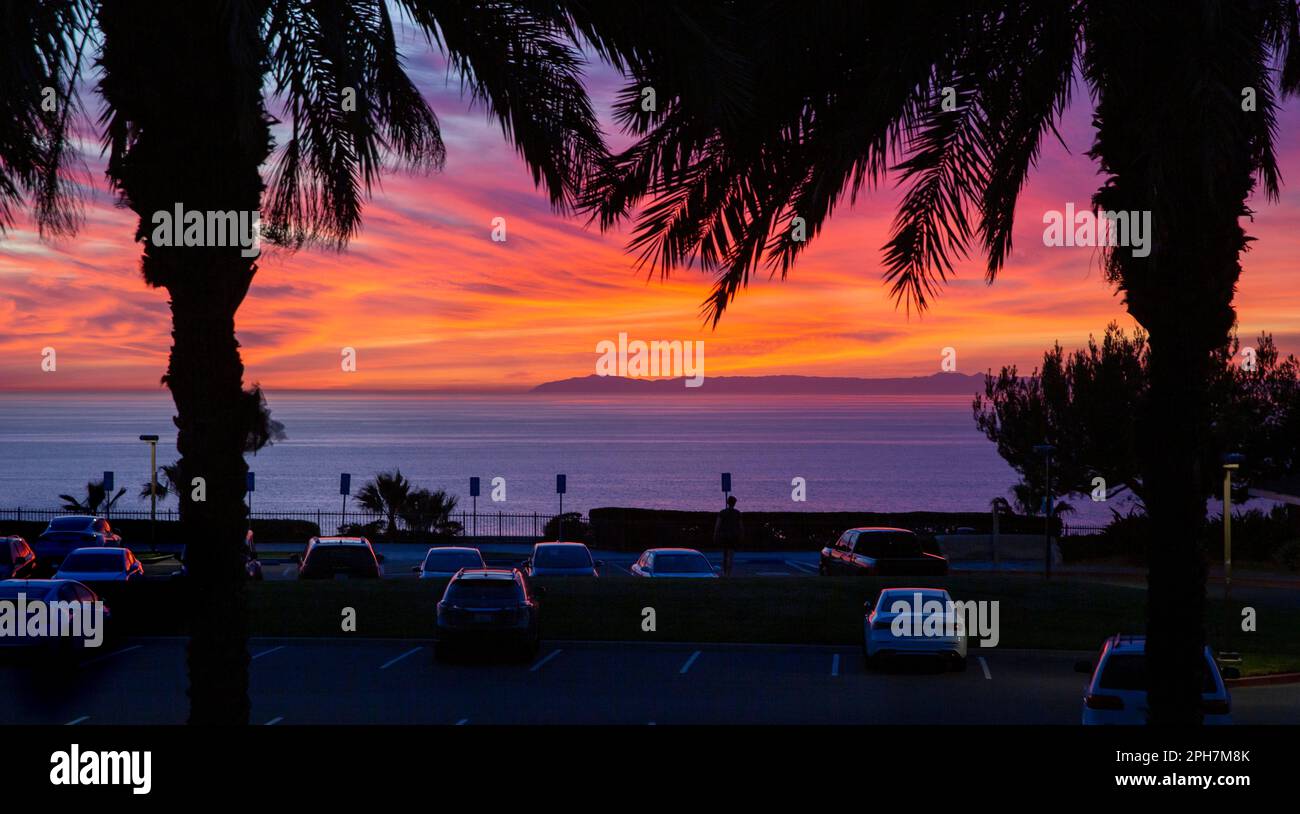 Sonnenuntergang an der Westküste über einem Parkplatz, Palmen, dem Pazifischen Ozean mit Santa Catalina Island im Hintergrund. Das Foto wurde in Dana Point aufgenommen. Stockfoto