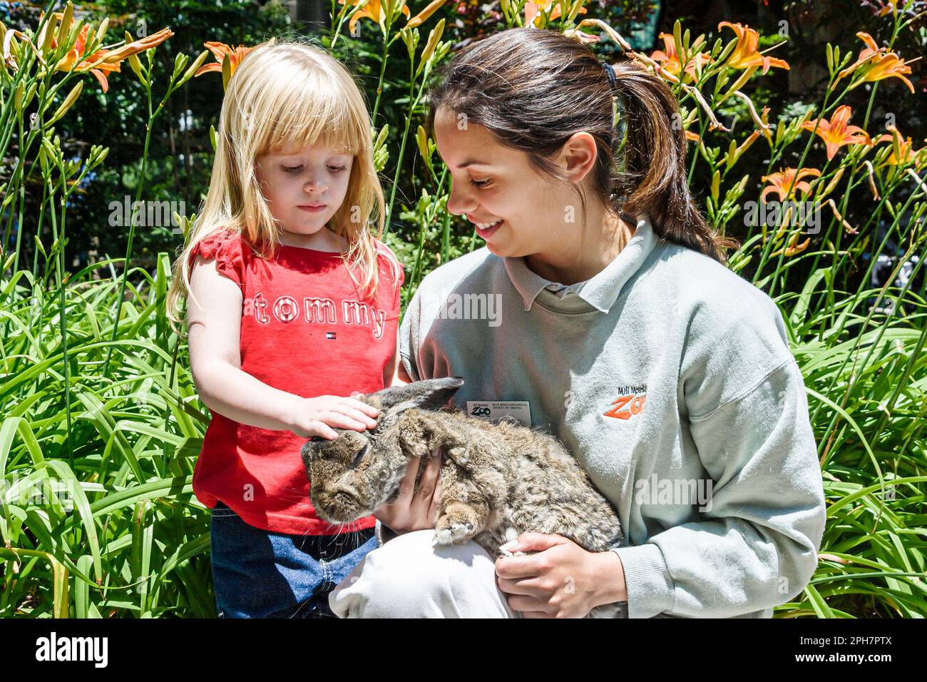 Virginia Appalachian Mountains, Southern Appalachia, Roanoke, Mill Mountain Zoo, Besucher reisen Reise touristischer Tourismus Wahrzeichen Kultur Stockfoto