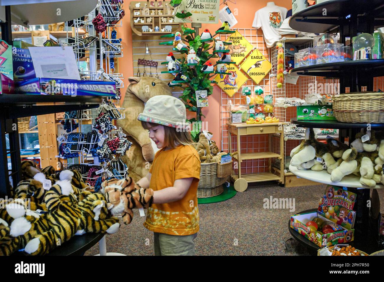 Virginia Roanoke Mill Mountain Zoo Souvenirladen, Mädchen einkaufen sieht Souvenir Souvenirs, Stockfoto