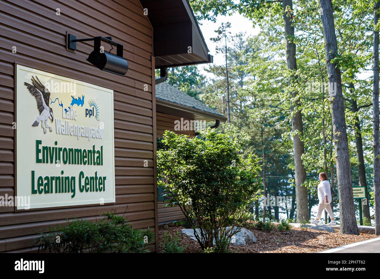 Pocono Mountains Poconos Pennsylvania Lake Wallenpaupackal Learning Center, Zentrum Ausstellungen Sammlung Natur Tierwelt, Stockfoto