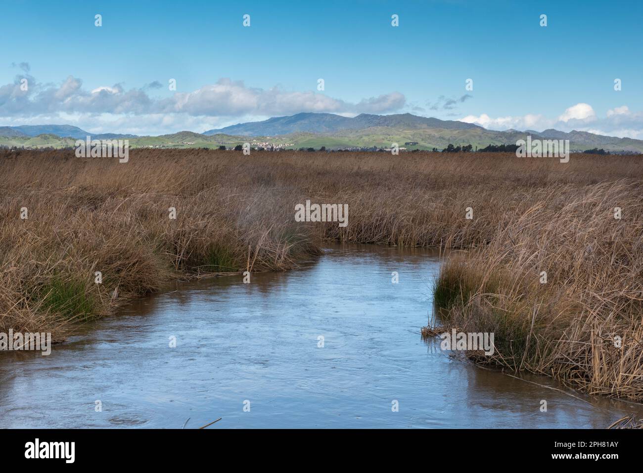 Black Marsh slough entlang der Grizzly Island Road auf blauem Himmel gibt es jede Menge Sky Copy-Space Fairfield, Kalifornien, USA, die Berge in der Stockfoto