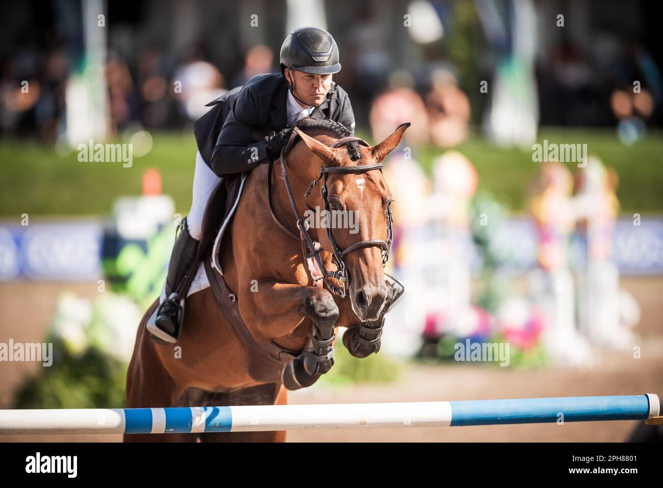 Kent Farrington aus den USA tritt an der Major League Show Jumping Tour 2022 bei Angelstone Turnieren in Kanada an. Stockfoto