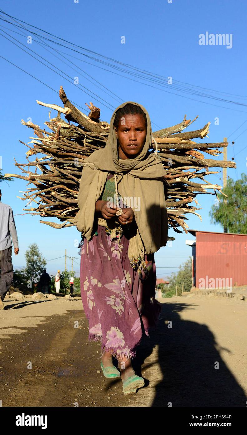 Eine äthiopische Frau, die Holz auf dem Rücken trägt. Lalibela, Äthiopien. Stockfoto