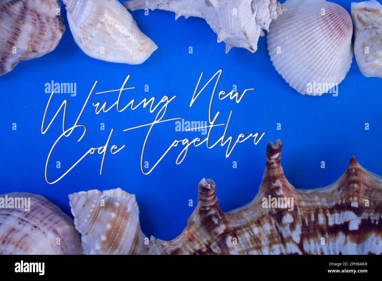 Animal Shell, Sommerurlaub, Marinehintergrund mit dem Text New Code Together. Stockfoto
