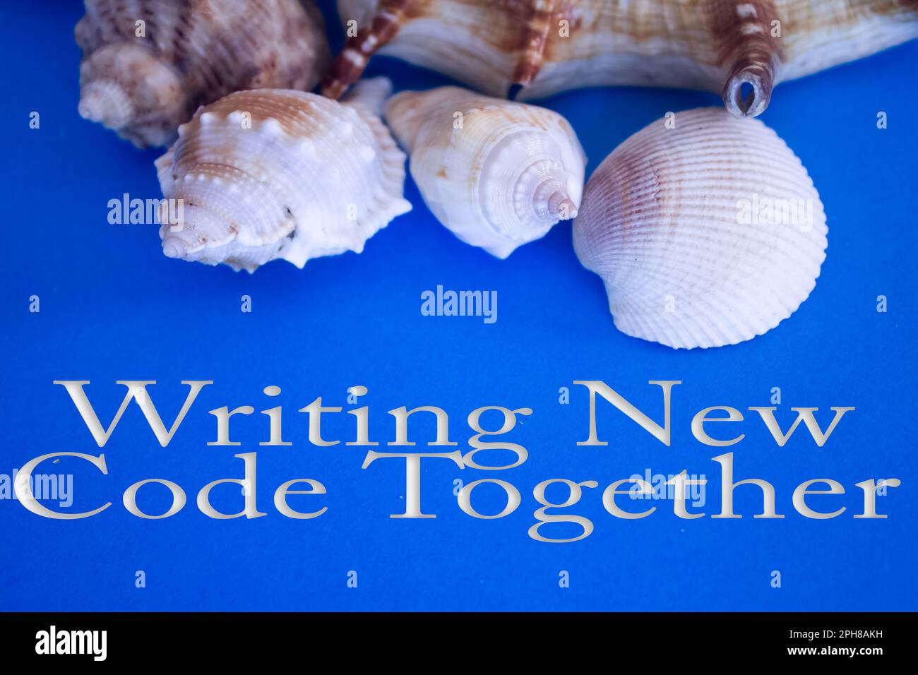 Animal Shell, Sommerurlaub, Marinehintergrund mit dem Text New Code Together. Stockfoto