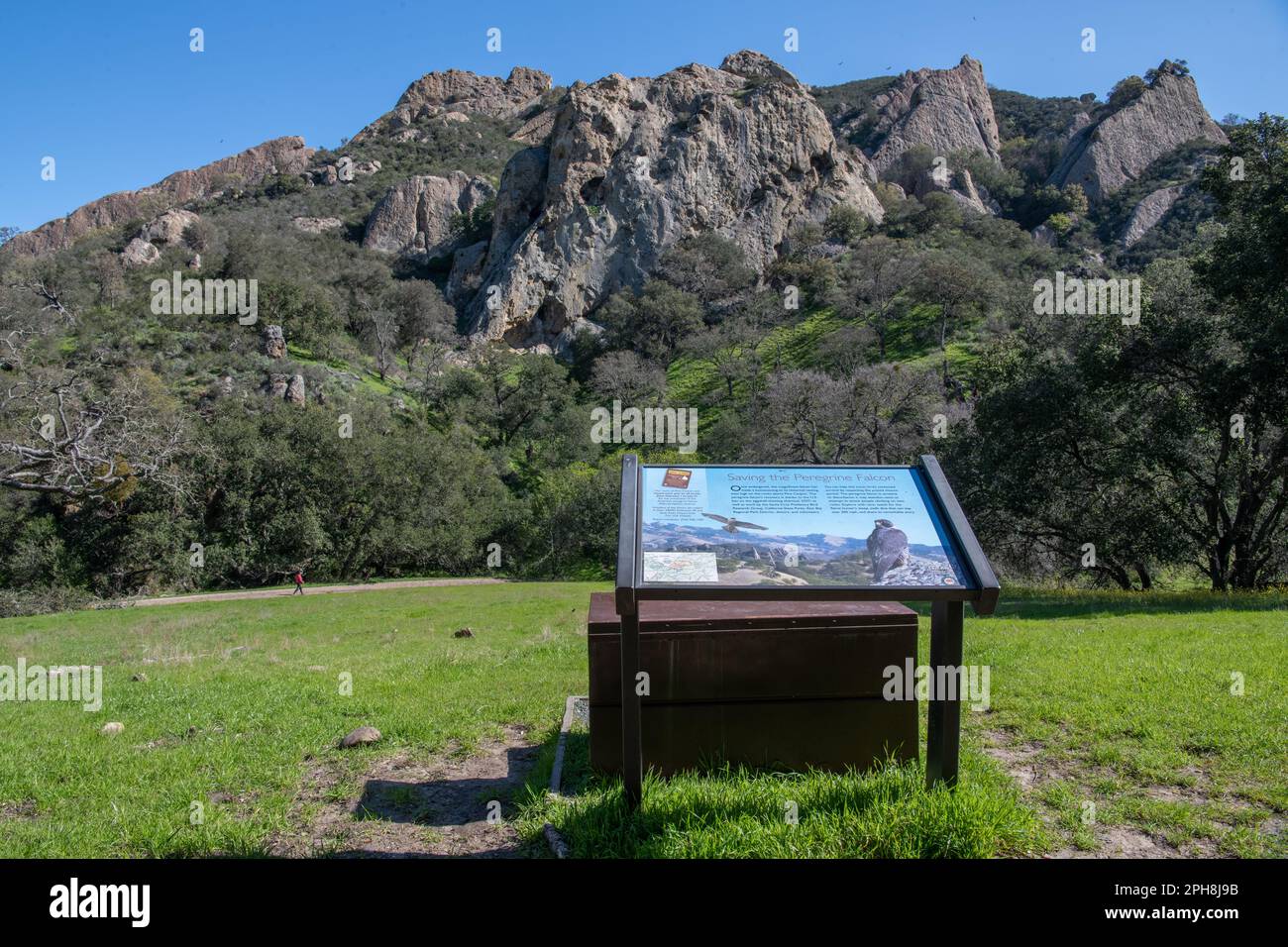 Ein Schild über Falken in den Felsformationen im regionalen Erholungsgebiet Castle Rock im Diablo Foothills Regional Park in Kalifornien. Stockfoto