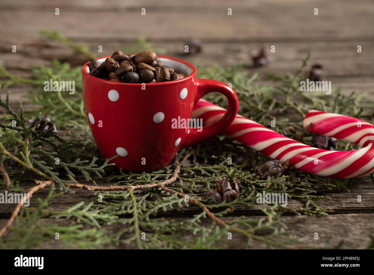 tasse mit Kaffeebohnen neben Karamell und eine Schachtel mit einem Geschenk auf dem Hintergrund eines grünen Weihnachtsbaums auf einem Holztisch, Silvester Stockfoto