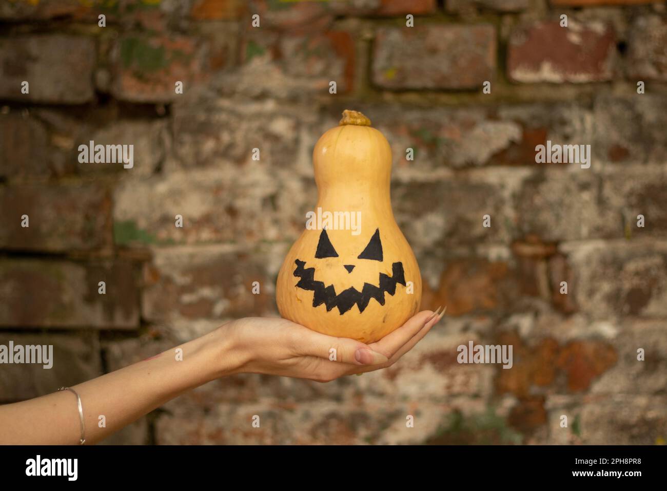 Kürbis in den Händen eines Mädchens, gemalt für halloween, halloween-Feiertag in der ukraine Stockfoto