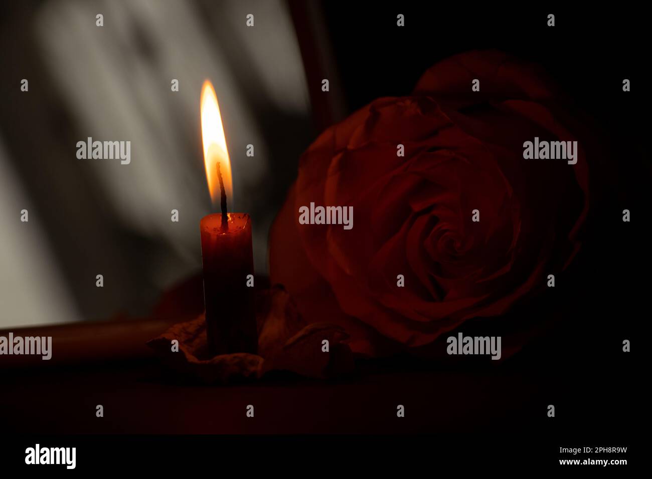Eine Kerzenflamme und neben einer Rose in der dunklen Nahaufnahme Stockfoto