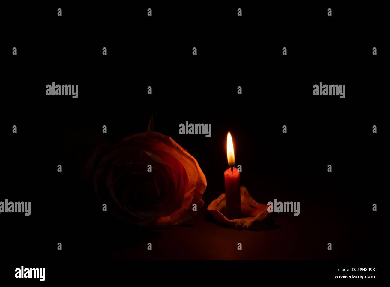 Eine Kerzenflamme und neben einer Rose in der dunklen Nahaufnahme Stockfoto