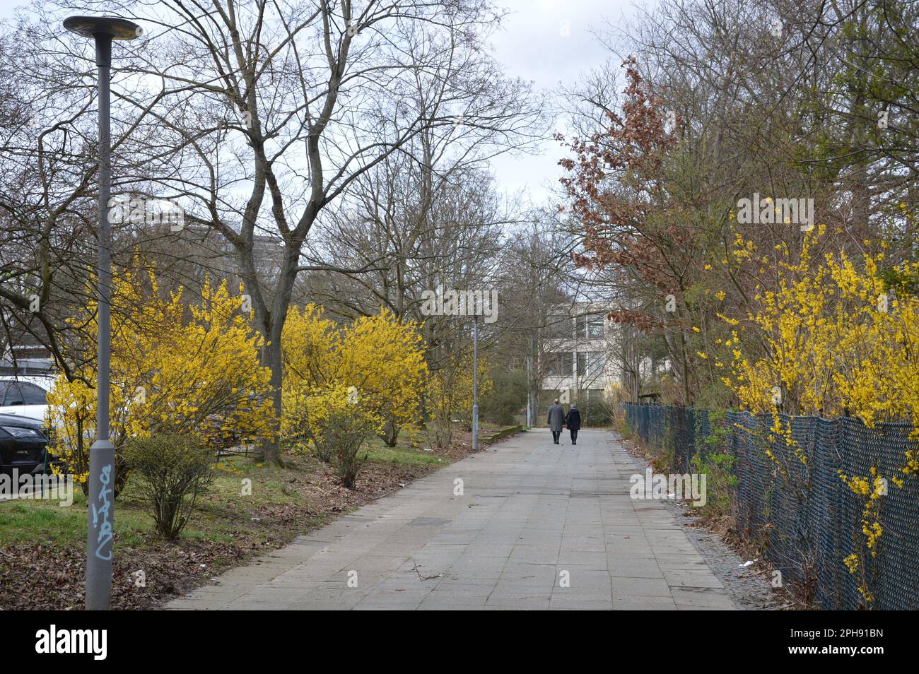 Berlin, Deutschland - 26. März 2023 - Frühlingszeichen in Gropiusstadt. (Foto: Markku Rainer Peltonen) Stockfoto
