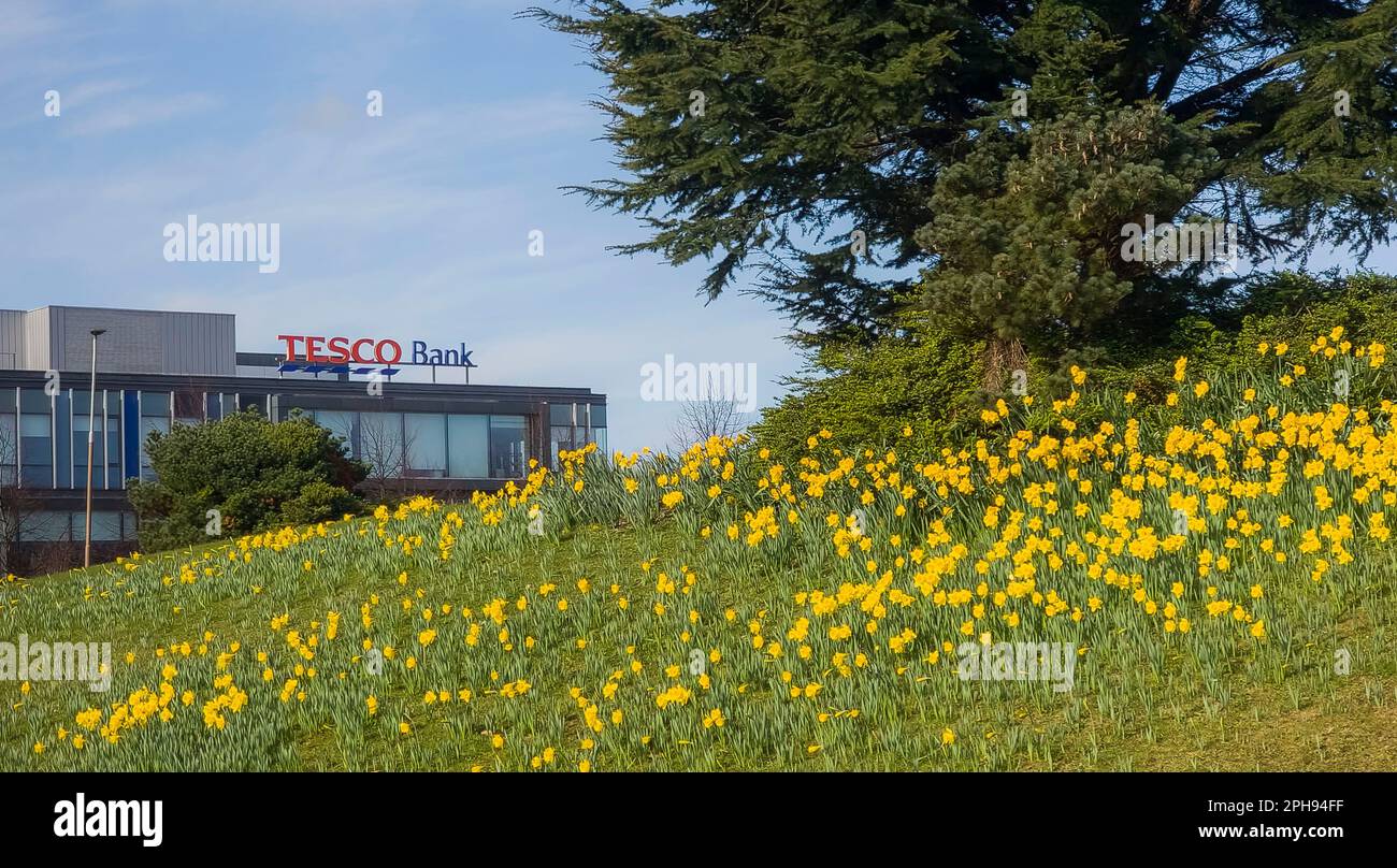 Edinburgh, Schottland, Großbritannien. 26. März 2023. Büros der Tesco Bank in Edinburgh, Schottland. Bildkredit: phil wilkinson/Alamy Live News Kredit: phil wilkinson/Alamy Live News Stockfoto