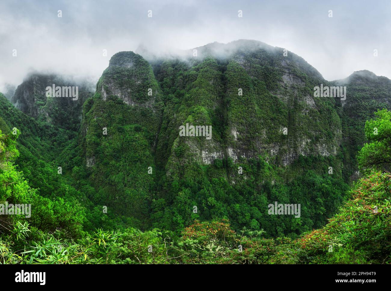 Bergregenwaldlandschaft. Blick auf die Berge auf der Route Queimadas Forestry Park - Caldeirao Verde. Madeira, Portugal, Europa. Stockfoto