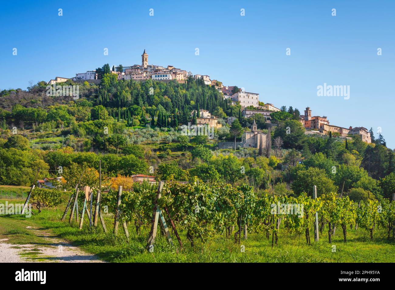 Das Dorf Trevi auf dem Gipfel des Hügels und ein Weinberg. Provinz Perugia, Region Umbrien, Italien, Europa. Stockfoto