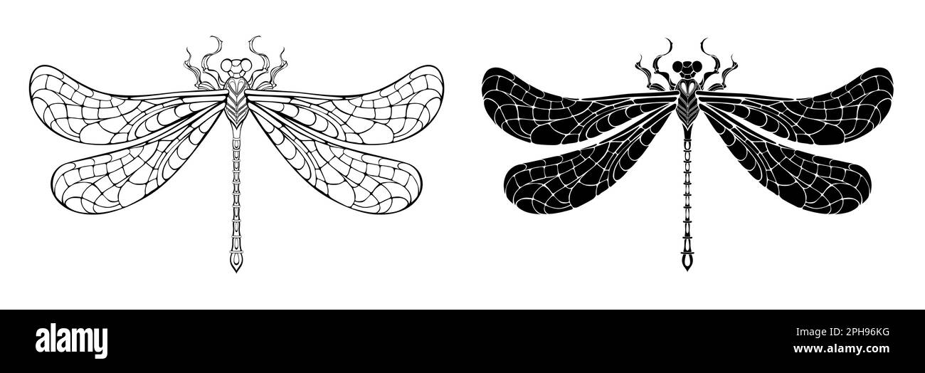Künstlerisch gezeichnete, konturierte und silhouettierte Libelle mit gemusterten Flügeln. Stock Vektor