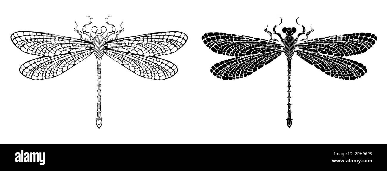 Künstlerisch gezeichnete, konturierte und silhouettierte Libelle mit detaillierten Flügeln. Farbe. Stock Vektor
