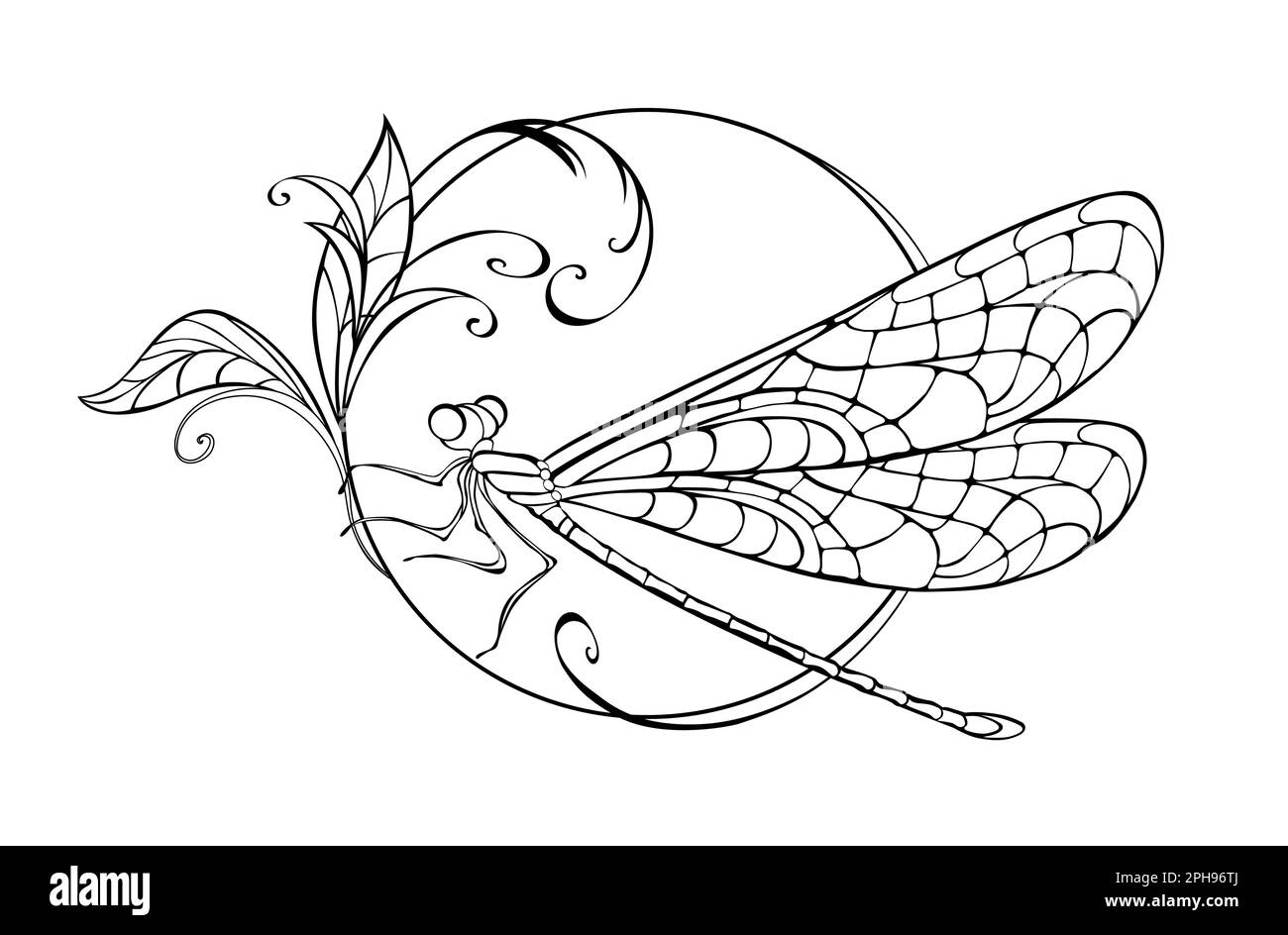 Im Kreis sitzend, künstlerisch gezeichnet, konturierte Libelle mit gemusterten, detaillierten Flügeln auf weißem Hintergrund. Die Originalzeichnung der Libelle. Stock Vektor