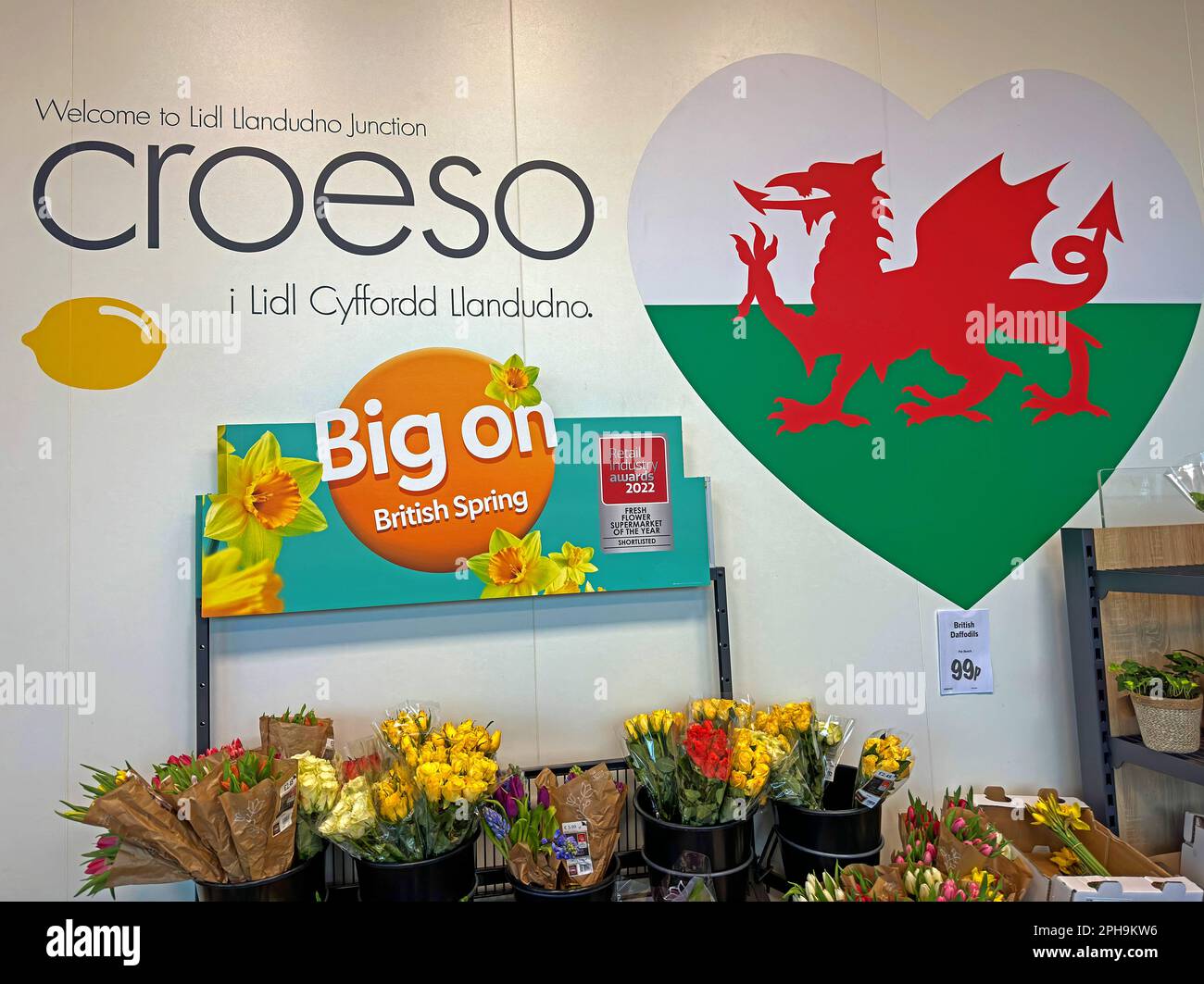 Willkommen im LIDL Supermarkt in Llandudno Junction - i Cyffordd Llandudno, ein Herz mit einem walisischen roten Drachen, Blumen, Narzissen Big on British Spring Stockfoto