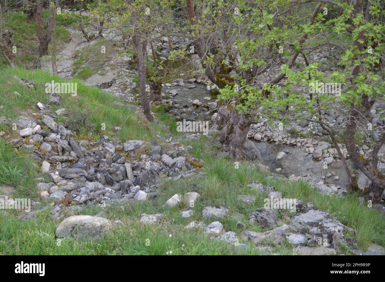 Griechenland, Thessalien, Larisa, Elassona_Flampouro Village_Old Watermill Area Stockfoto