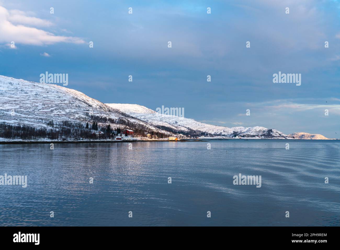 Morgenstimmung auf der Insel Senja und Kvaløya im Winter in Norwegen. Das Morgenrot färbt schneebedeckte Berge und Wolken rötlich, buntes Haus am Ufer Stockfoto