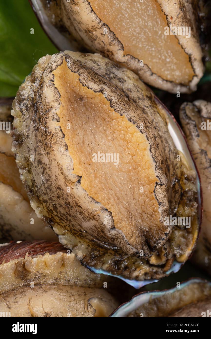 Köstliche rohe Abalone auf einem Teller mit Salat auf Holztisch. Stockfoto