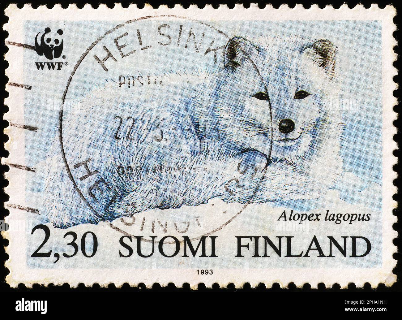 Polarfuchs auf finnischer Briefmarke Stockfoto