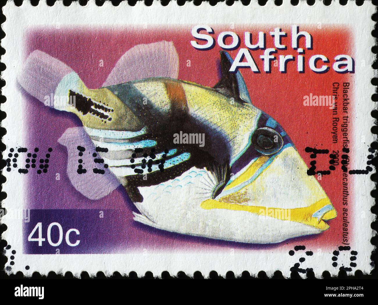 Blackbar-Triggerfish auf südafrikanischer Briefmarke Stockfoto