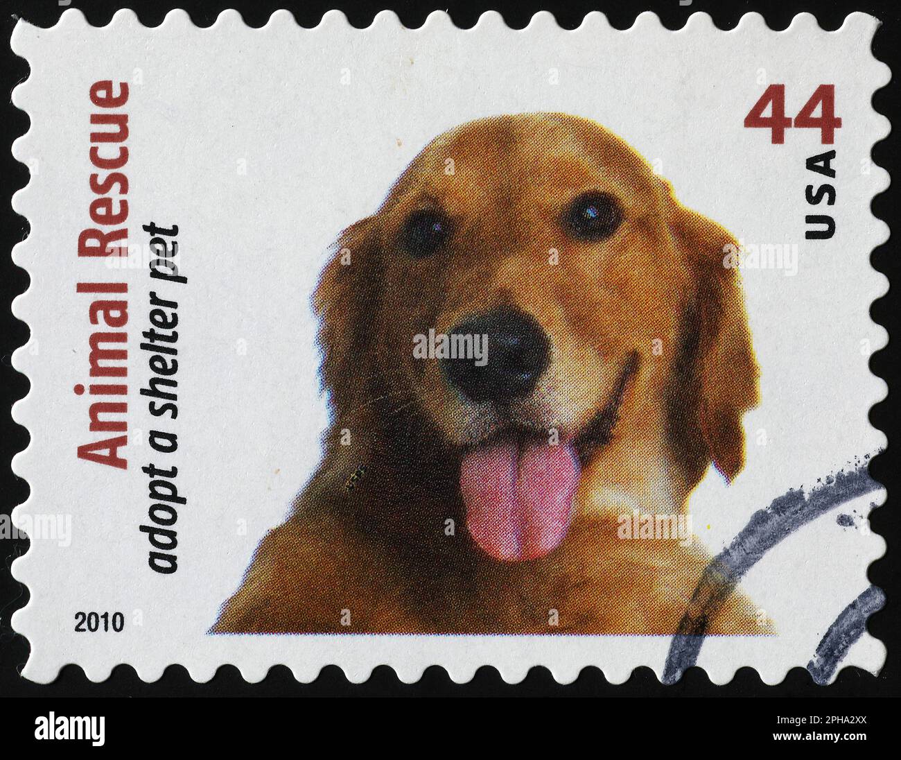 Kampagne zur Adoption eines Haustieres auf US-Briefmarken Stockfoto