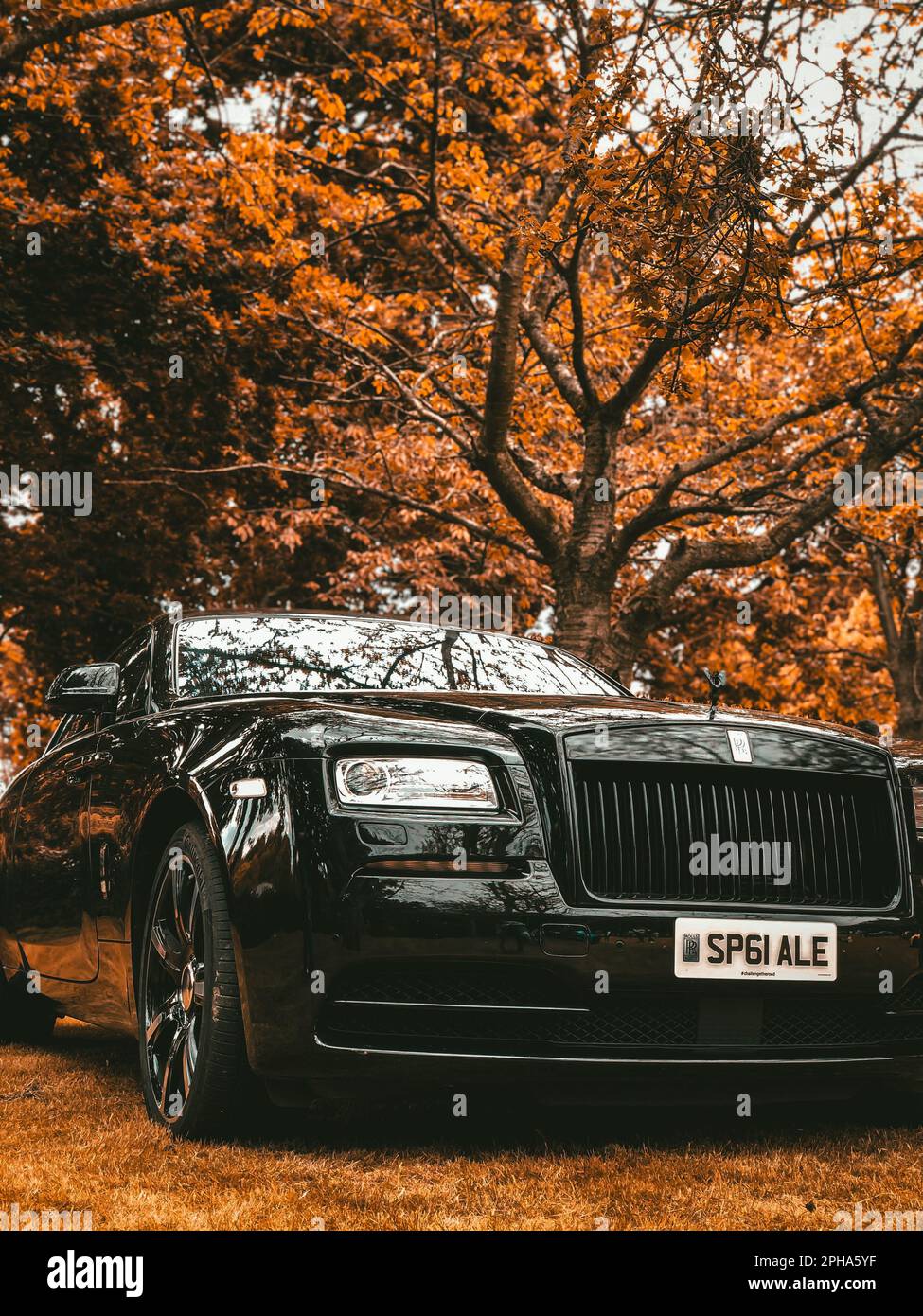 Ein schwarzer Rolls-Royce-Wagen parkt in einem Park, mit gelben Bäumen im Hintergrund, die eine malerische Aussicht bieten Stockfoto