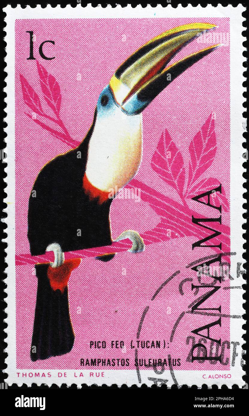 Hoch aufgesetzter Tukan auf der Briefmarke von Panama Stockfoto
