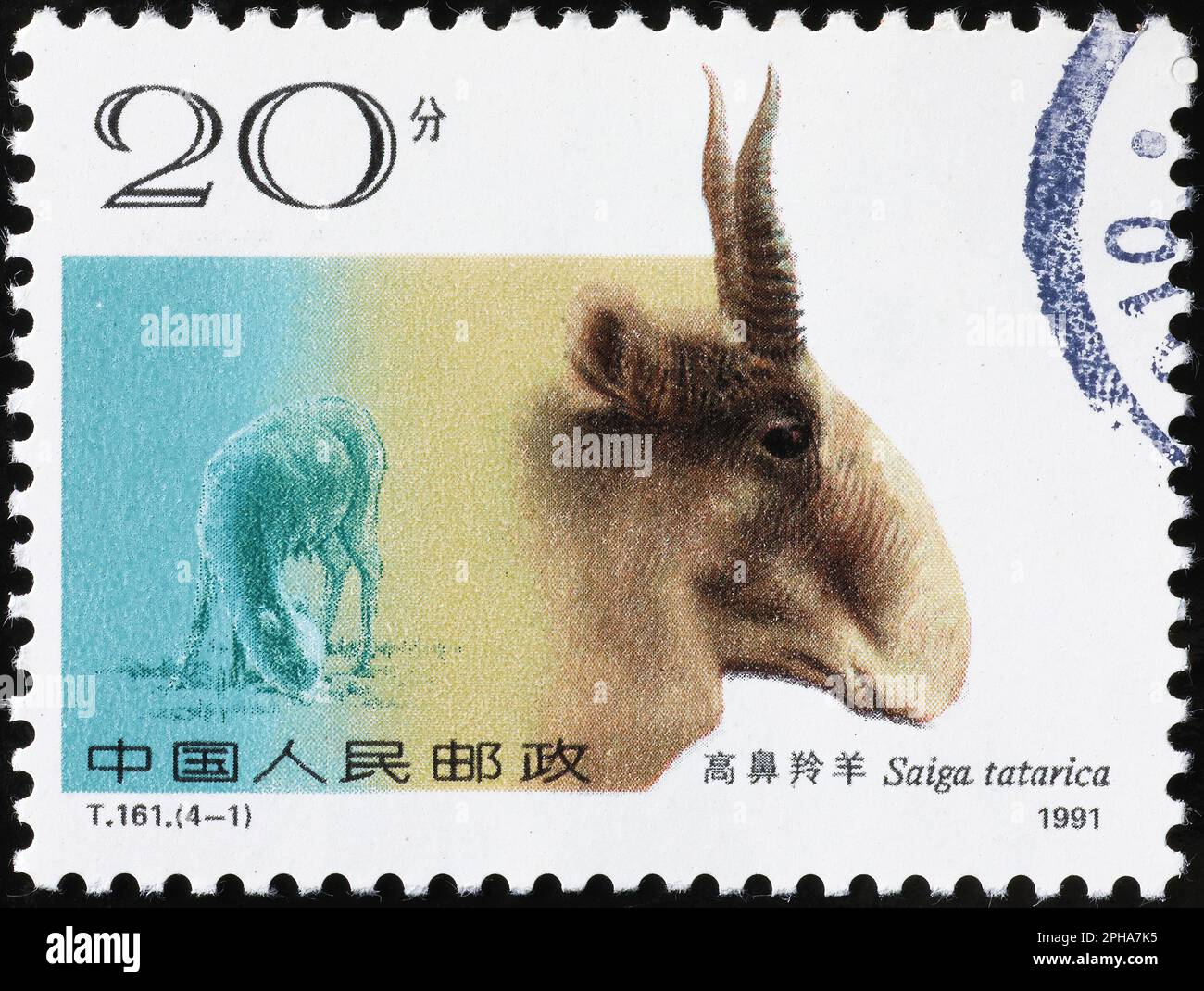 Saigaantilope auf chinesischer Briefmarke Stockfoto