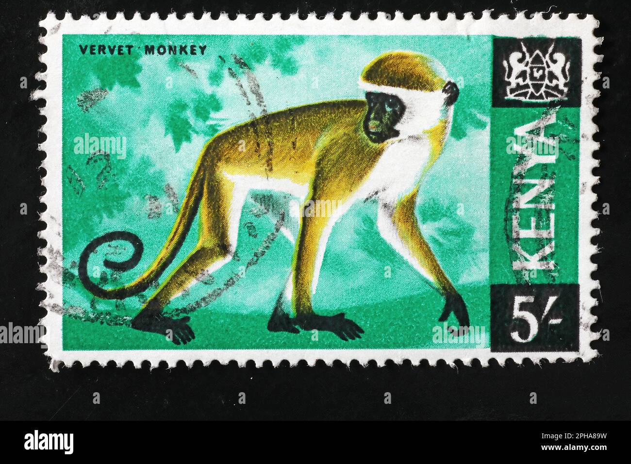 Vervet-Affe auf kenianischer Briefmarke Stockfoto