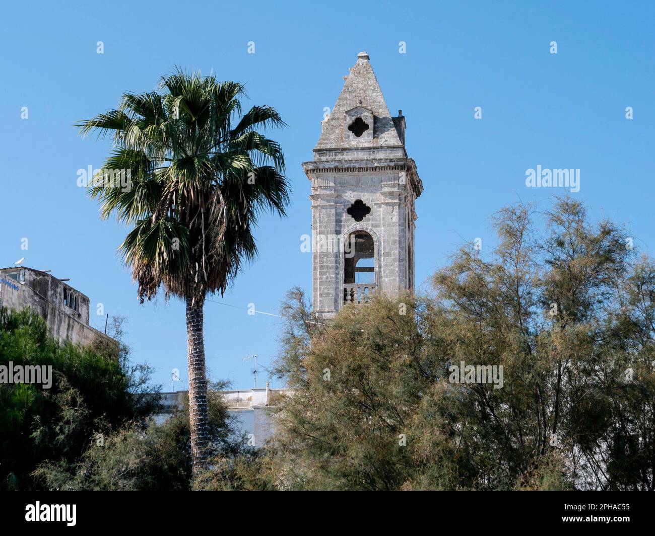 Stadtbild von Bari, Italien mit einer Palme und Torre della SS Annunziata Stockfoto