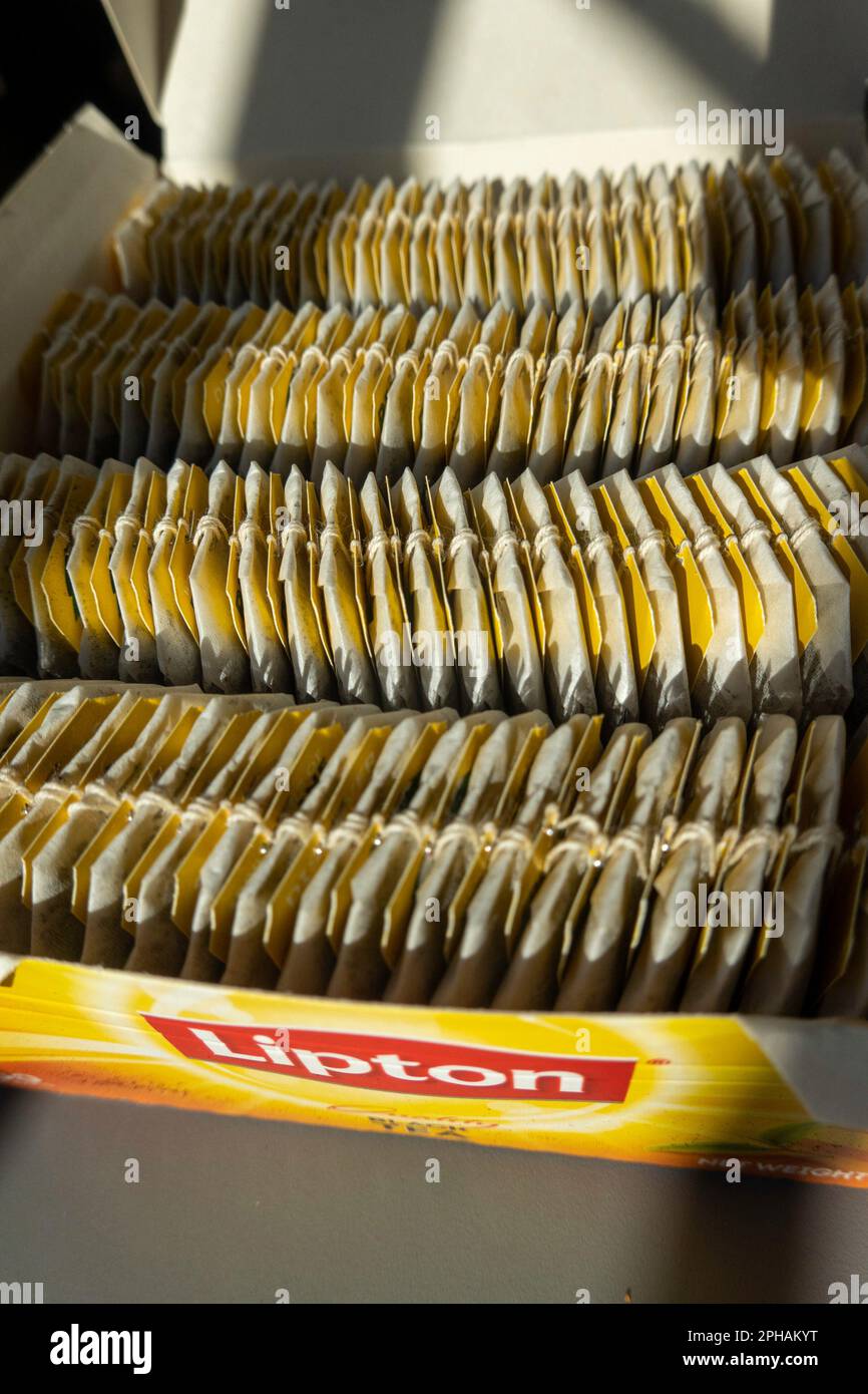 Eine volle Schachtel Lipton Teebeutel, 2023 Stockfoto