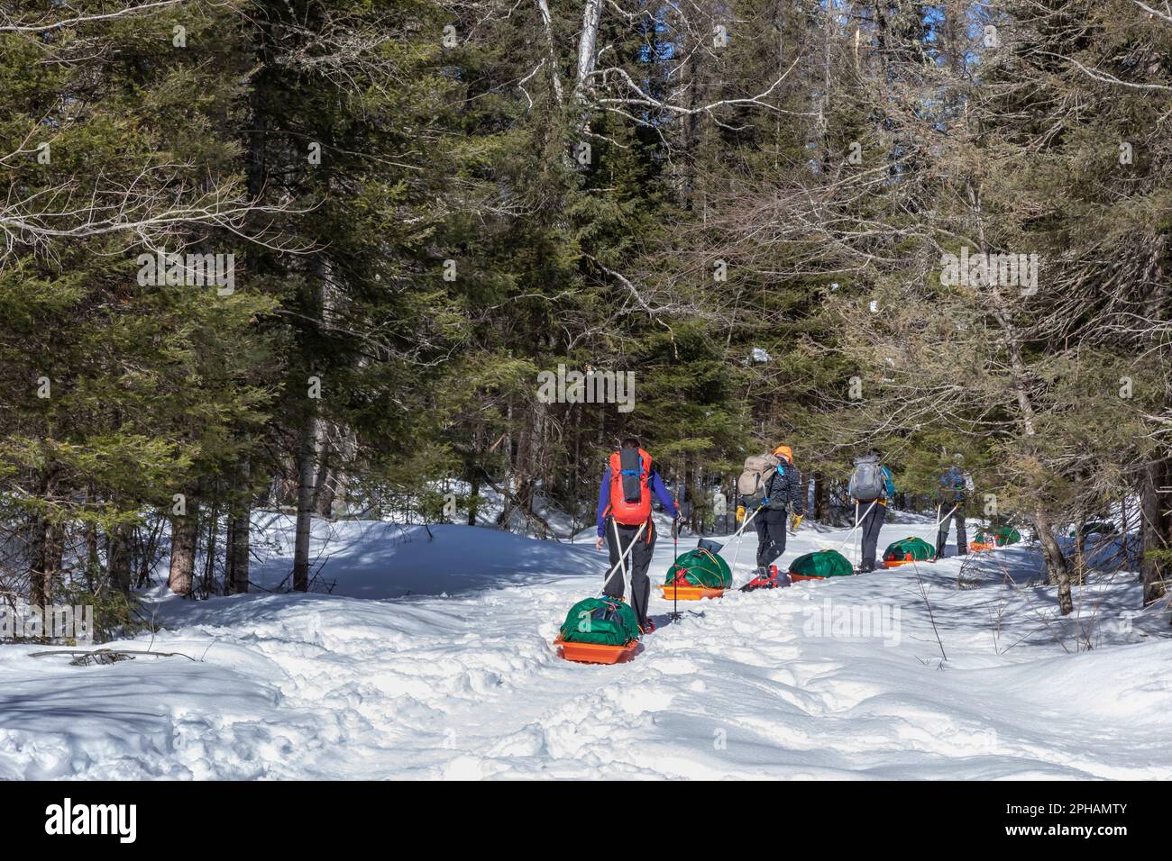 Northern Michigan University-Kurs zum Camping im Winter in der McCormick Wilderness, Obere Halbinsel, Michigan, USA [Keine Modellveröffentlichung; Redaktionslizenz Stockfoto