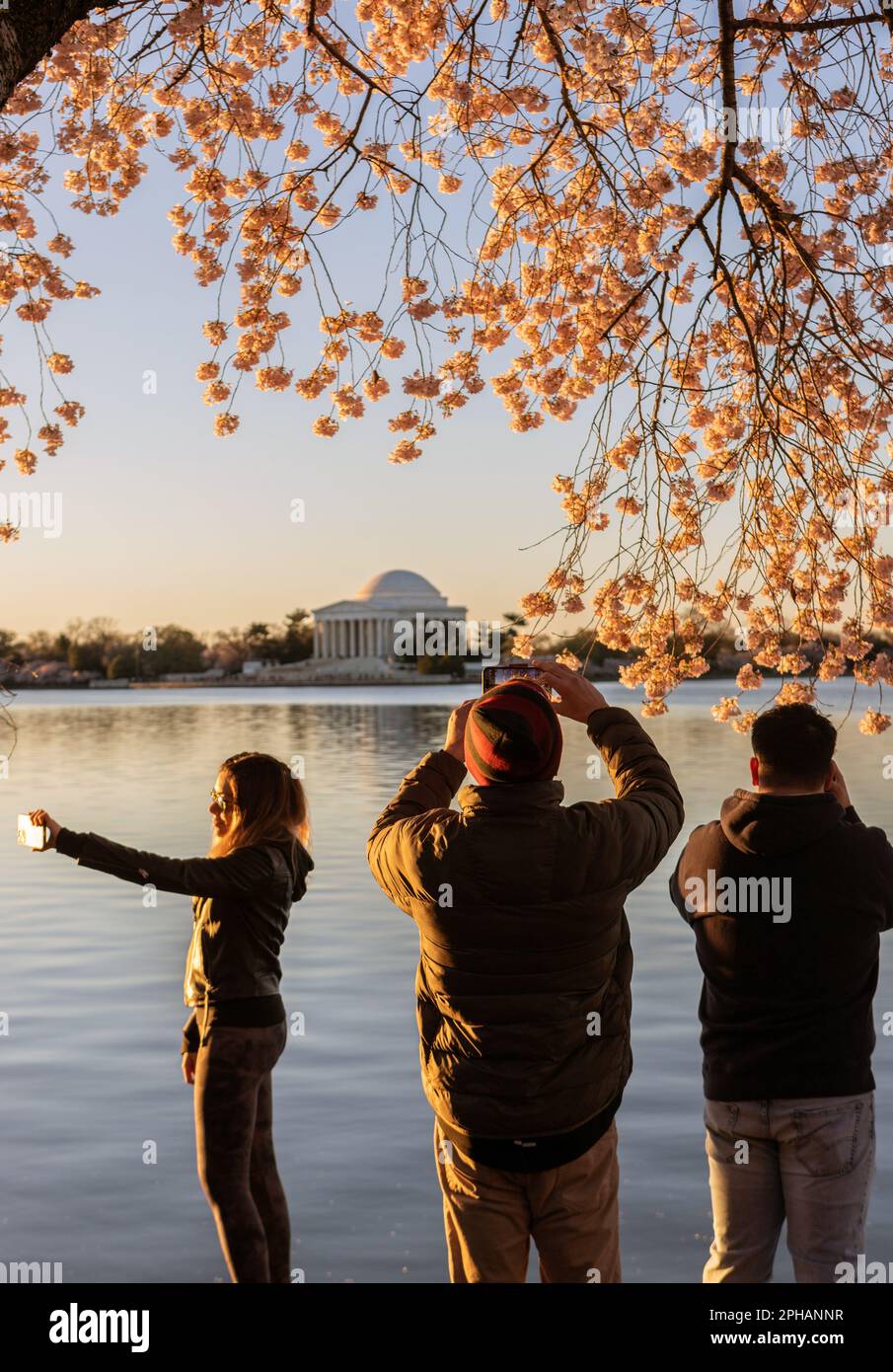 National Cherry Blossom Festival in Washington, DC Stockfoto