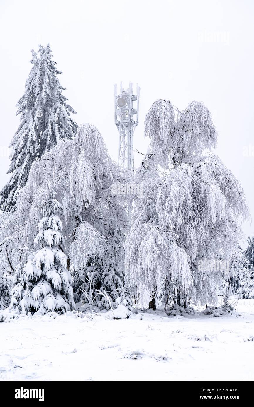 Eine Winterlandschaft mit einem malerischen, schneebedeckten Gelände mit einer Vielzahl von Bäumen und Sträuchern Stockfoto