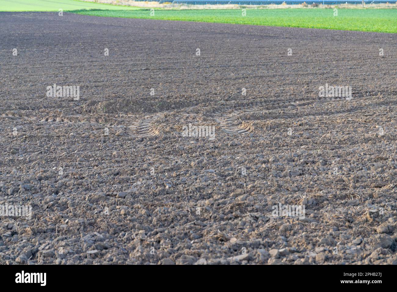 Frische landwirtschaftliche Flächen im Herbst. Hochwertiges Foto Stockfoto