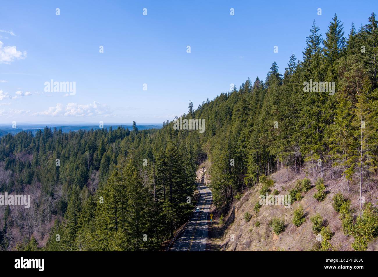 Bergstraße in der Cascade Range nahe Mount Rainier Stockfoto