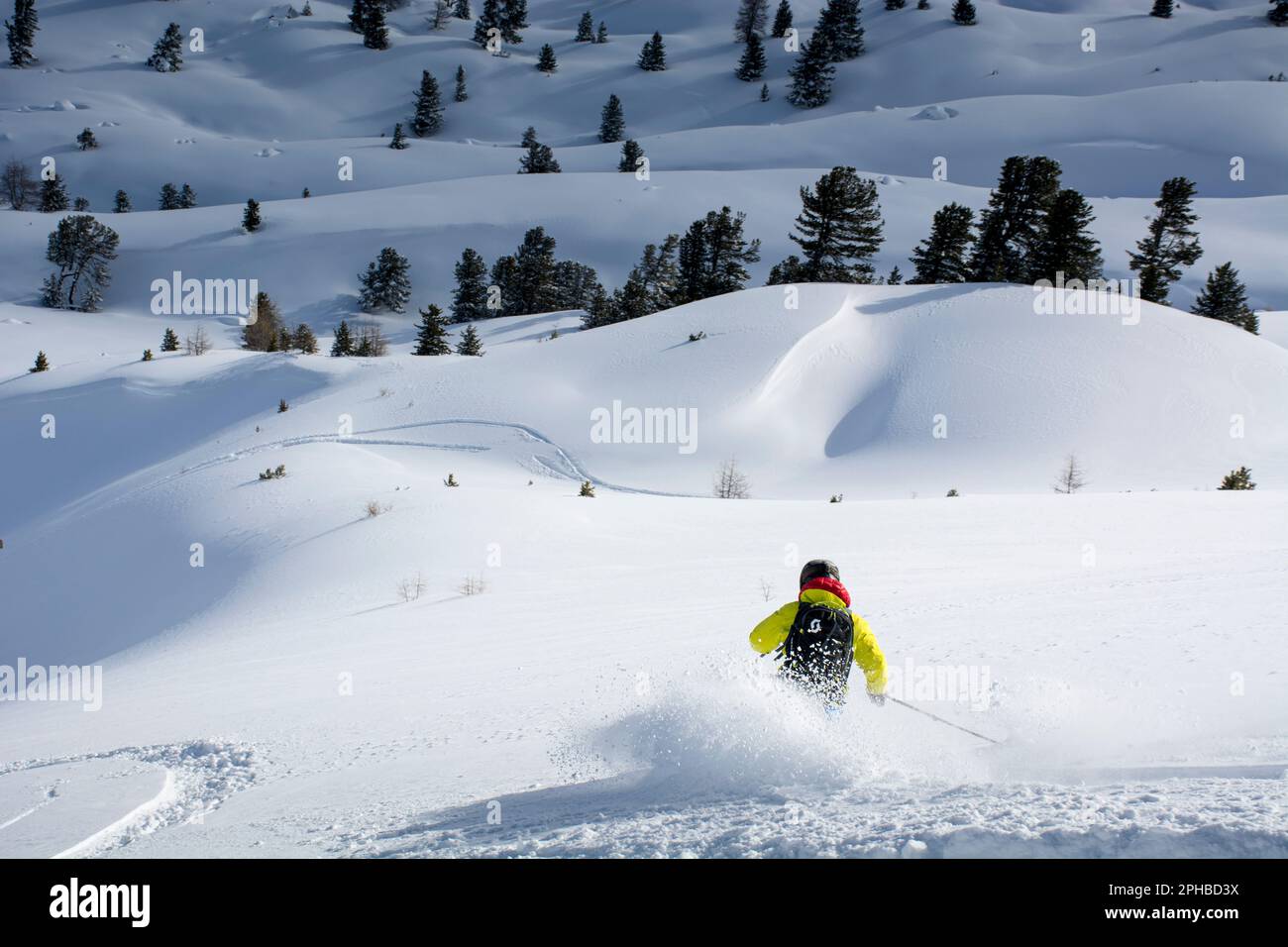 Einzelski, Skifahren, frischer Schnee, abseits der Piste in Europa Stockfoto