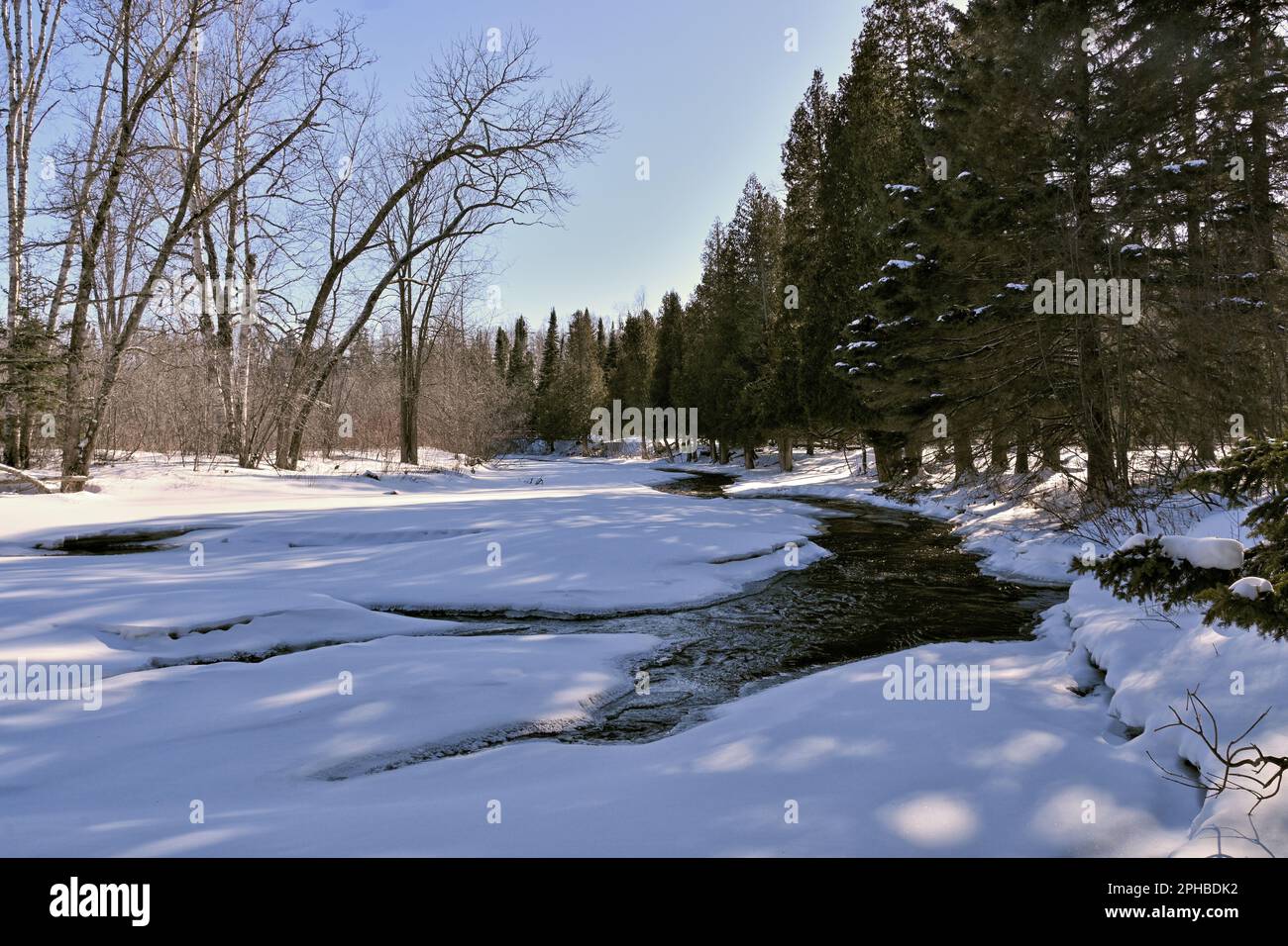 Der sonnenverwöhnte Schnee bedeckt einen von Birken- und Zedernbäumen gesäumten Fluss in der Wildnis Stockfoto