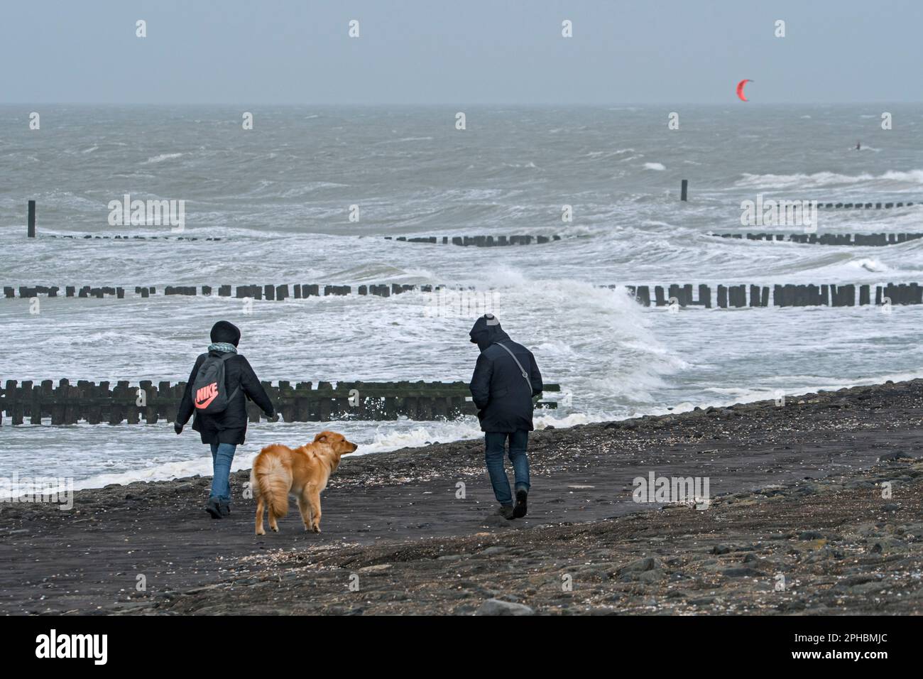 Ein Paar mit Hund spaziert entlang der Nordseeküste an einem windigen Tag während des Wintersturms in Zeeland, Niederlande Stockfoto