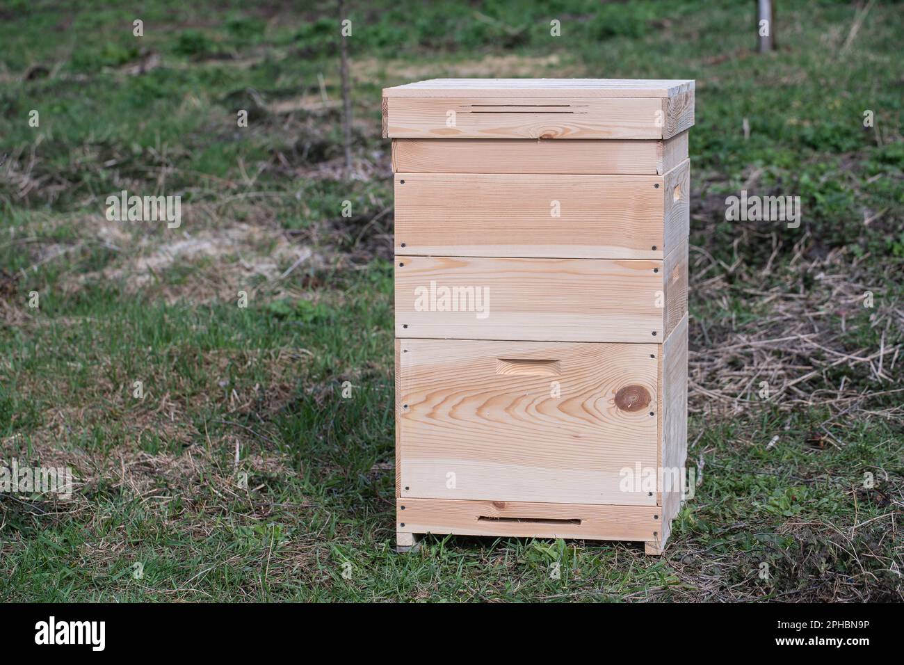 Ein neuer Holzbienenstock im Frühlingsgarten, Nahaufnahme Stockfoto