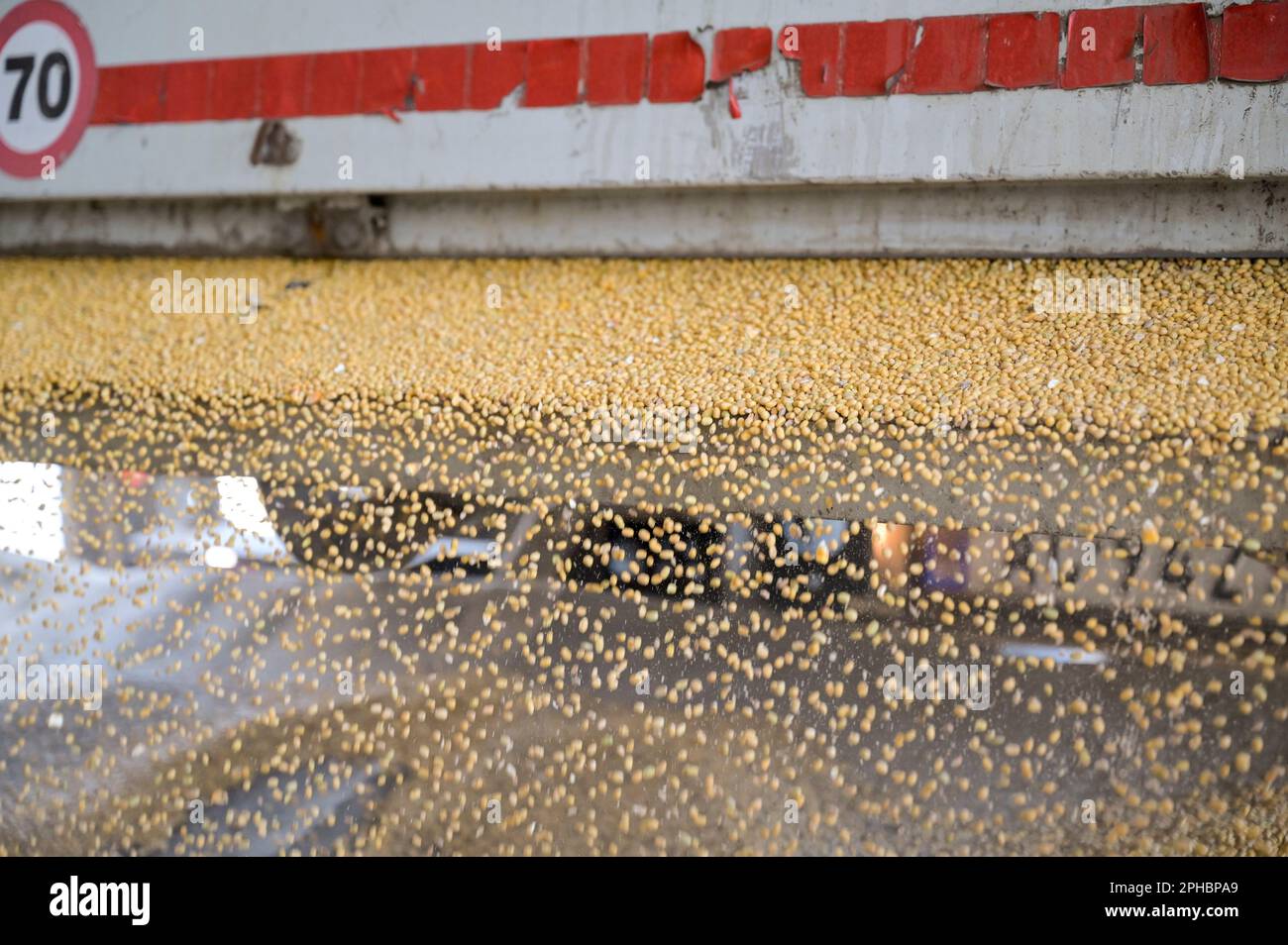 SERBIEN, Region Vojvodina, GVO-freie Verarbeitung und Handel mit Sojabohnen, Oilmill Bankom / SERBIEN, Region Vojvodina, Initiative DonauSoja, Soja Verarbeitung und Handel, Ölmühle Bankom in Obrenovac, Anlieferung Soja Stockfoto