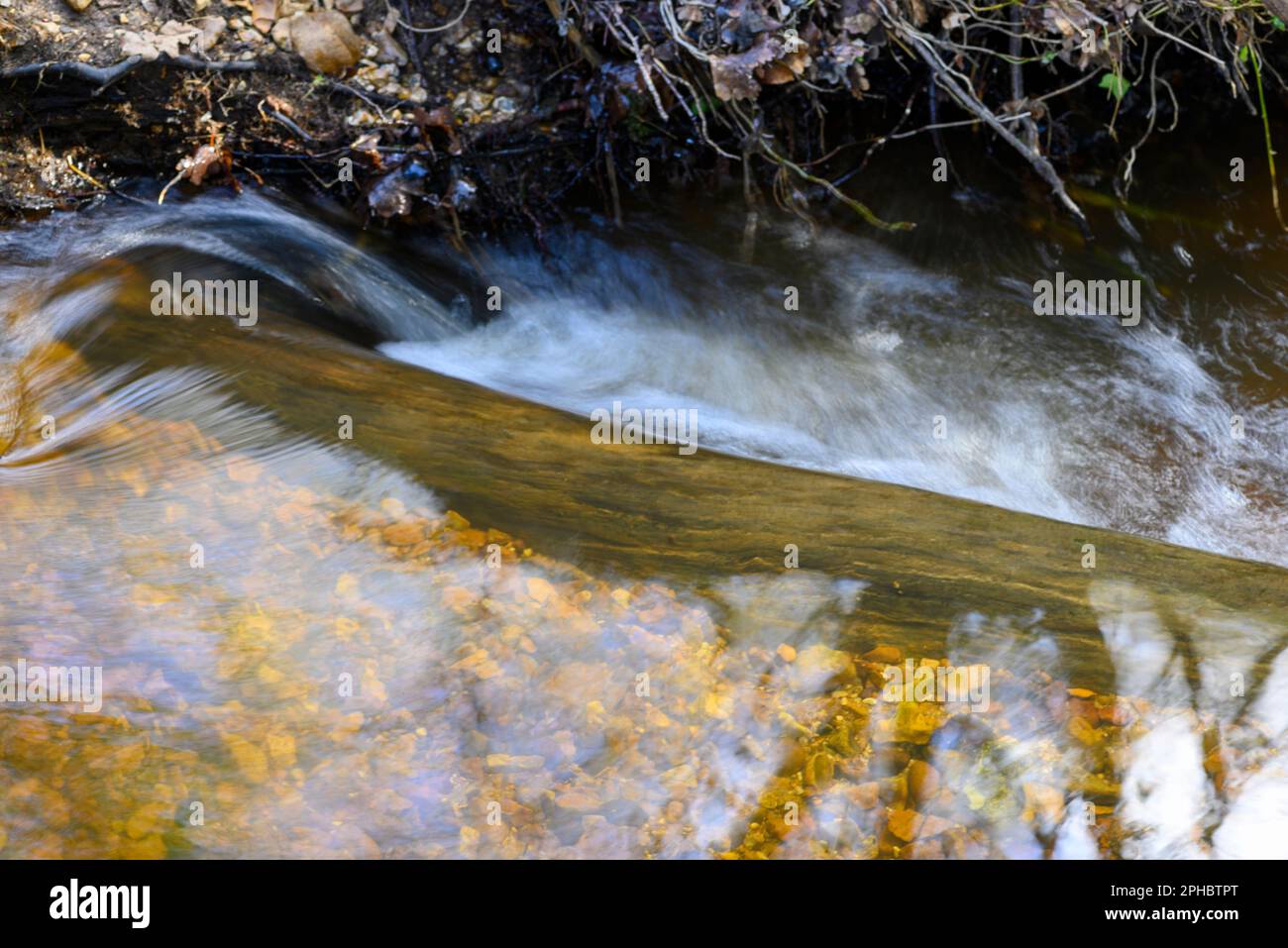 Schnell fließendes Wasser in einem Bach, der über einen Baumstamm läuft, unscharfe Bewegungen Stockfoto