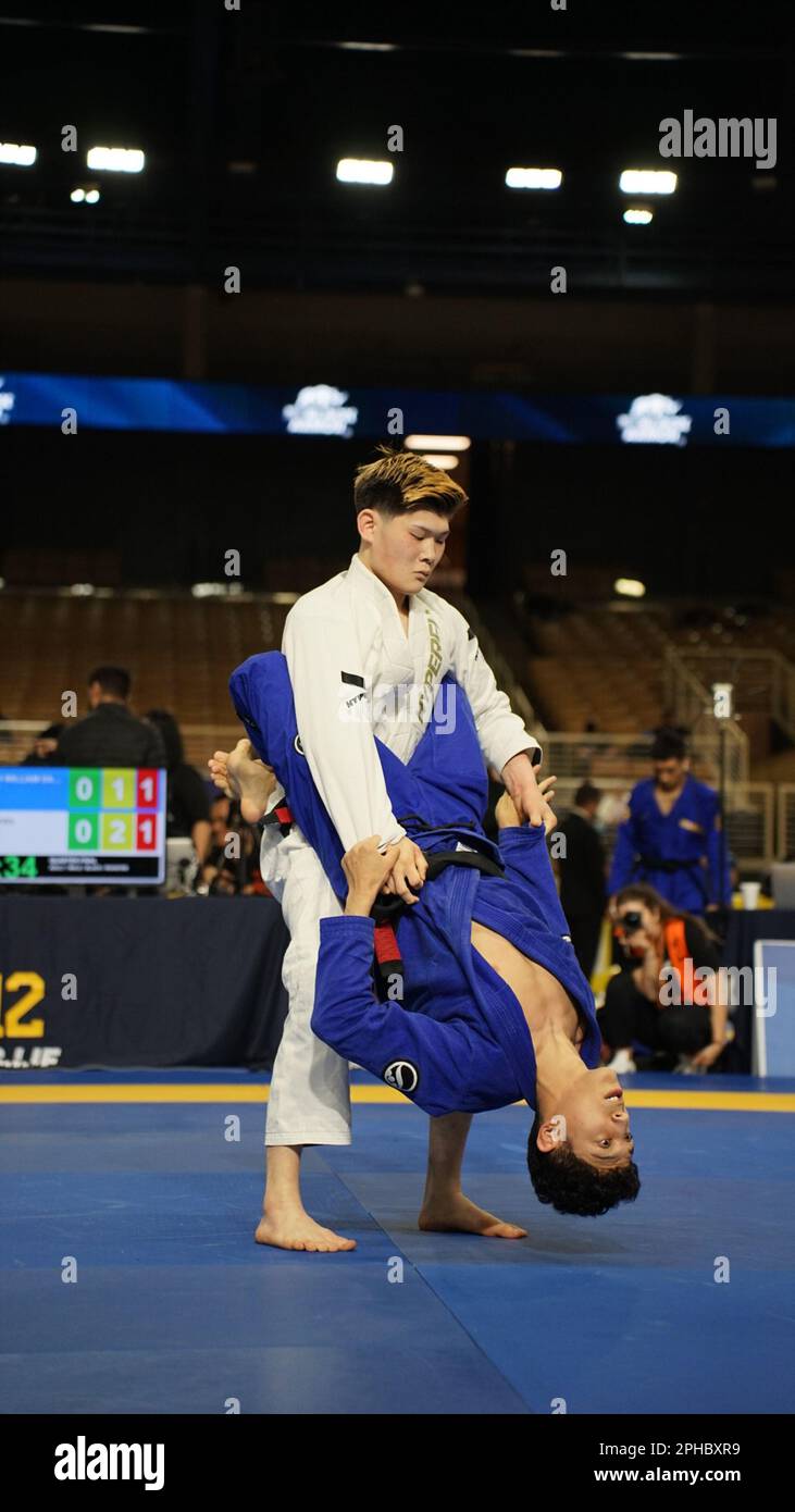 ORLANDO, FLORIDA MÄRZ 26 Hiryu Niwa (Art of Jiu Jitsu) Figur während