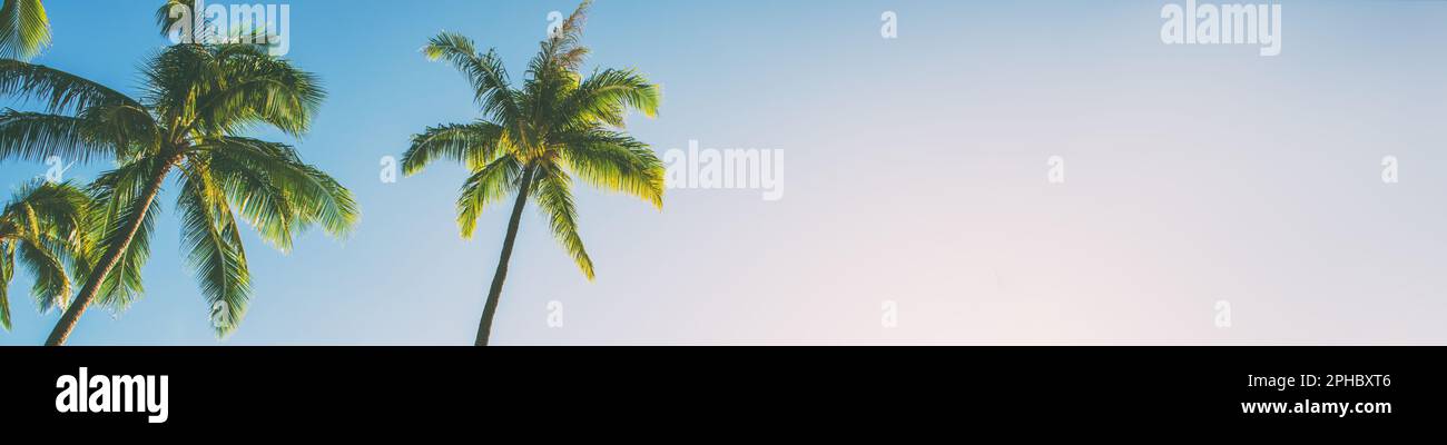 Sommerstrand im Hintergrund Palmen vor blauem Himmelsbanner Panorama, tropisches karibisches Reiseziel Stockfoto