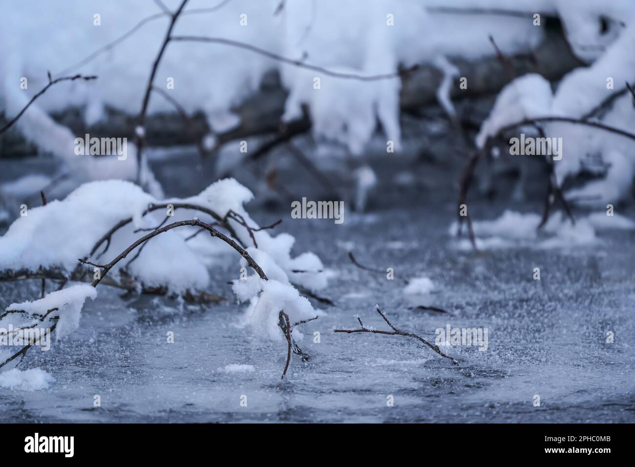 Nahaufnahme von Eis auf gefrorenem Fluss im Winter, dünne Zweige bedeckt mit Schnee und Eiskristallen, Nahaufnahme Details Stockfoto