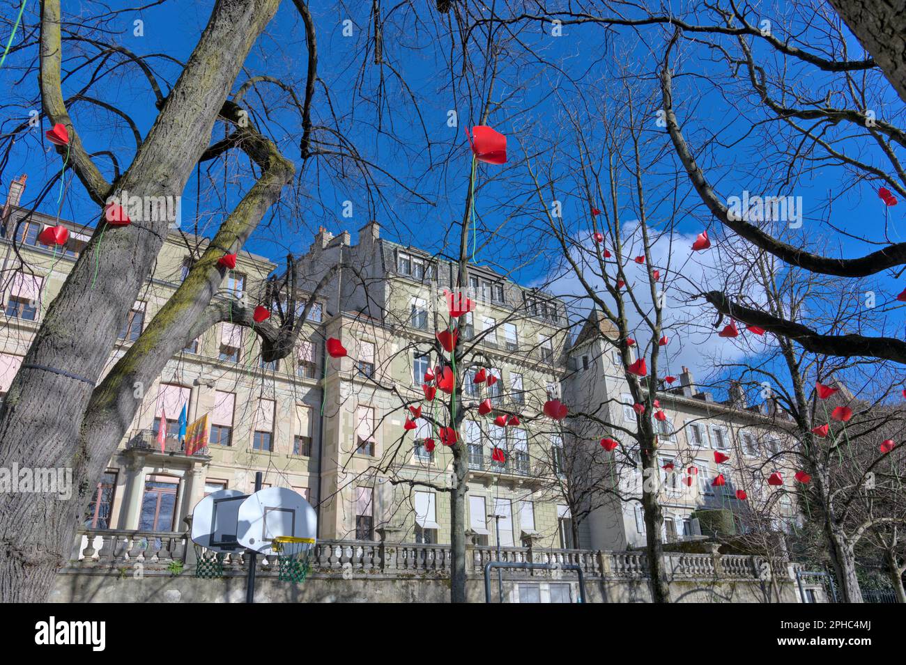 Rote Plastikblumen auf Bäumen im Winter in der Stadt Genf Stockfoto