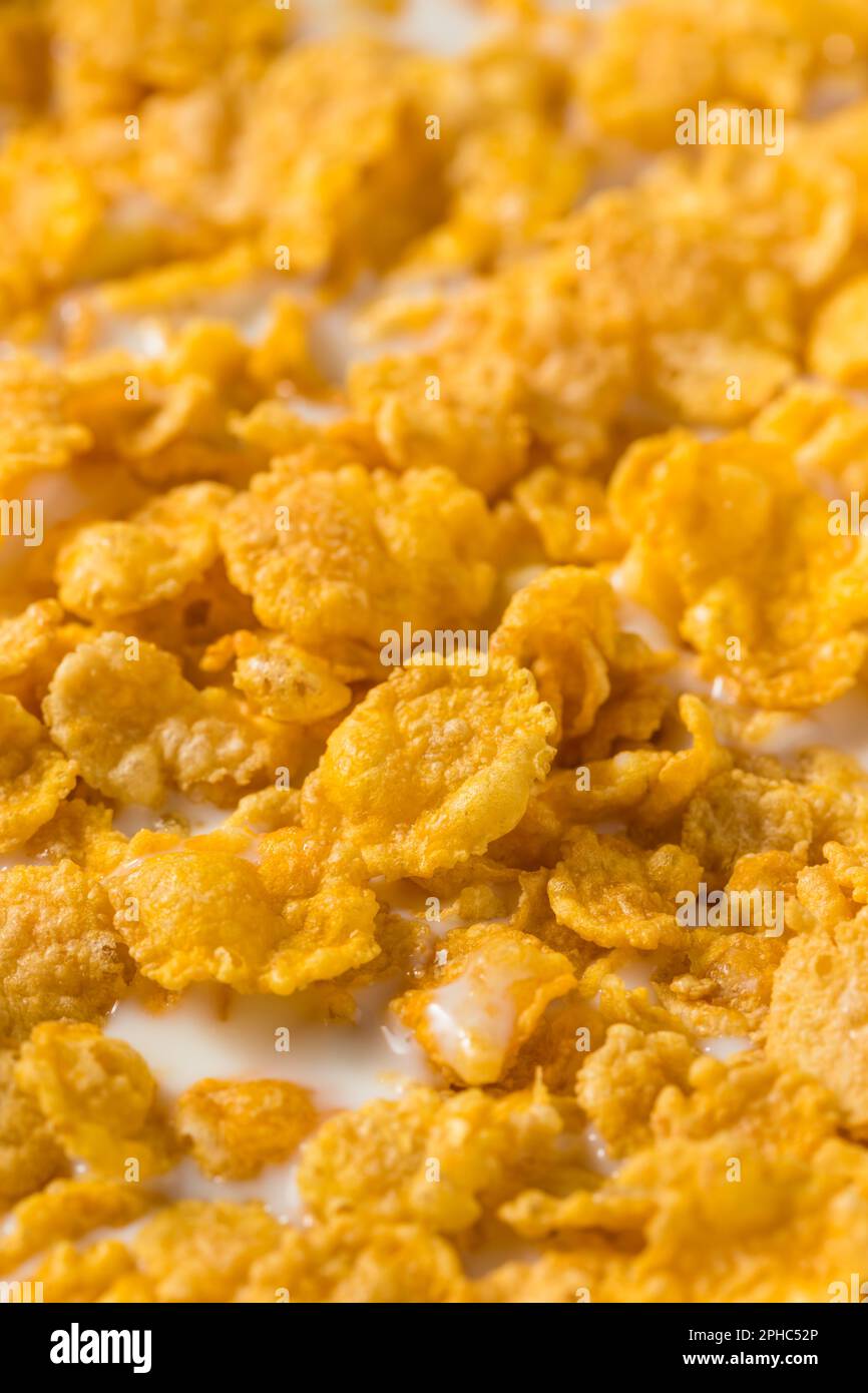 Hausgemachte gesunde Cornflakes mit Vollmilch Stockfoto